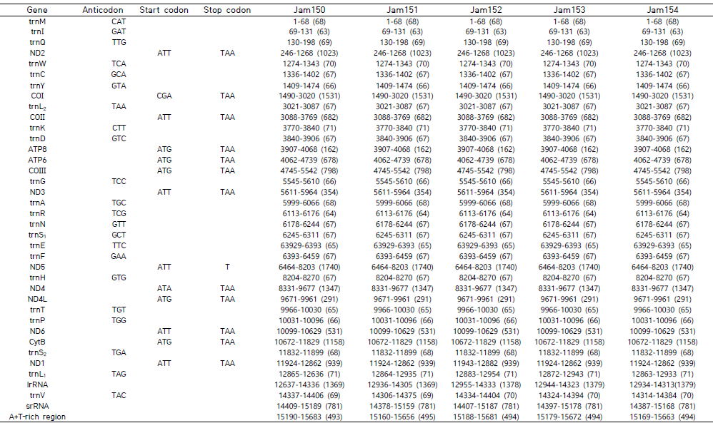 45개 시료에 대한 미토콘드리아 유전체 주석화 결과(계속)