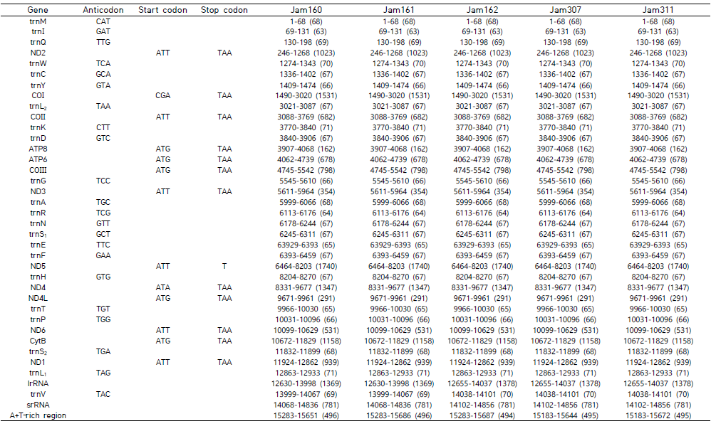45개 시료에 대한 미토콘드리아 유전체 주석화 결과(계속)