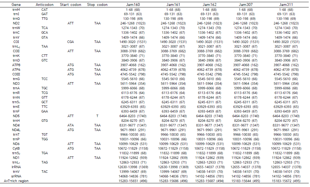45개 시료에 대한 미토콘드리아 유전체 주석화 결과(계속)