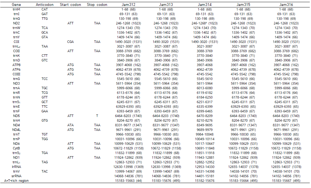 45개 시료에 대한 미토콘드리아 유전체 주석화 결과(계속)