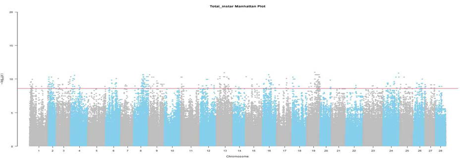 전체 령 길이 관련 SNP의 Manhattan plot