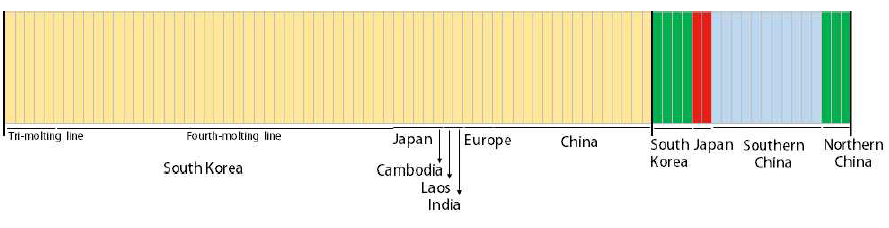 BAPS 분석 결과. (A) K = 4, log (ml) = -12951.447, (B) K = 2, log(ml) = -3466.911, (C) K = 3, log(ml) = -5539.8108. Each vertical bar represent an individual and its associated probability of belonging to one of the four colored clusters detected