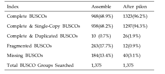 부계 수박의 BUSCO 결과