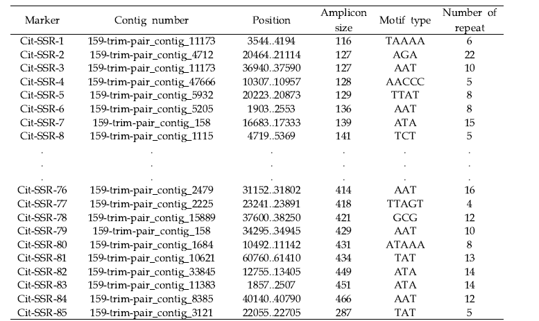 수박 SSR 마커의 motif 및 repeat 정보