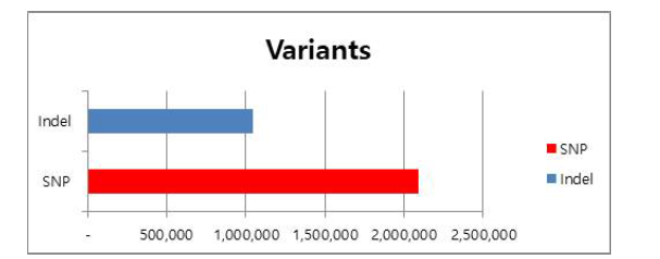 InDel 및 SNP 변이정보 생성