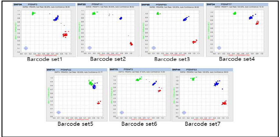 재배종 들깨 품종구분마커로 개발된 바코드세트#1~#7의 KASP 지노타입핑 결과