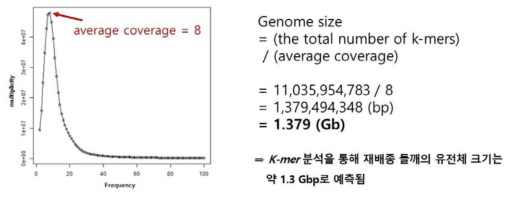 장편 염기서열 시퀀싱 결과