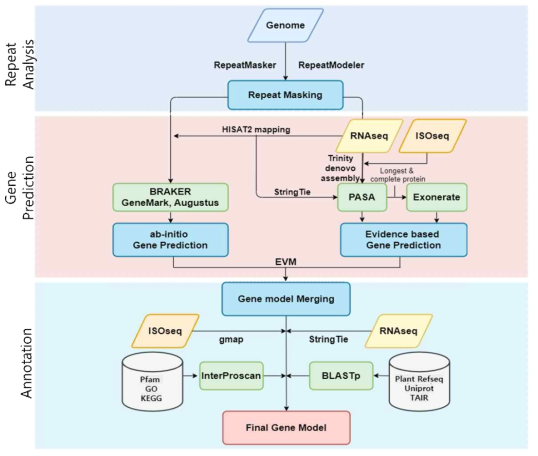 Perilla fructescens genome annotation overview