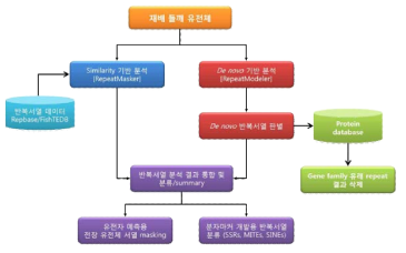 들깨 유전체 내 repeat 탐색 및 분류 절차