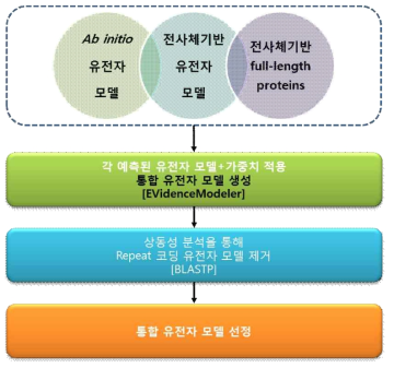 EVidenceModeler 이용 통합유전자 모델 설발 모식도