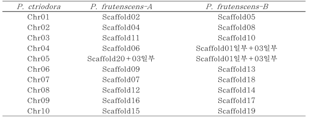 4배체 들깨 스캐폴드의 A, B 게놈 구분