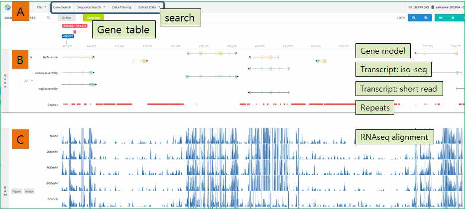 브라우저 초기화면 구성 및 각 트랙별 특성. 유전자 테이블, 탐색 기능, zoom-in/out, page forward/backward 구성 (A), 유전자, 전사체조립, 반복염기서열, 마커용 SSR 트랙 (B), RNAseq alignment 트랙 (C)