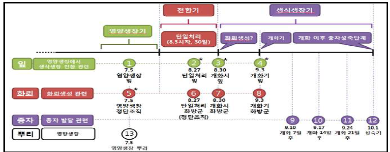 transcriptome 염기서열 분석을 위한 샘플링 시료 및 과정