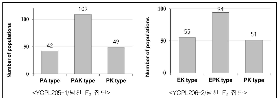 차조기X들깨 F2 집단 정유성분