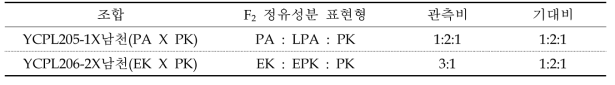 차조기×들깨 F2 집단 분리비