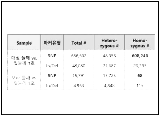 교배집단 부모개체의 유전체 다형성 SNP, InDel 통계치