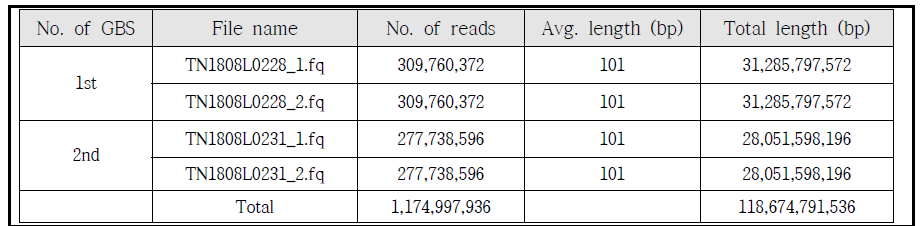 대실들깨x잎들깨 1호 RIL 집단 (1, 2 set) GBS 차세대염기서열 분석결과