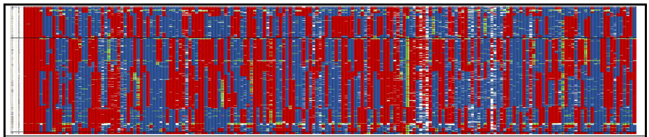 ICIMapping 프로그램으로 작성된 연관지도의 binmap (chromosome1과 2)