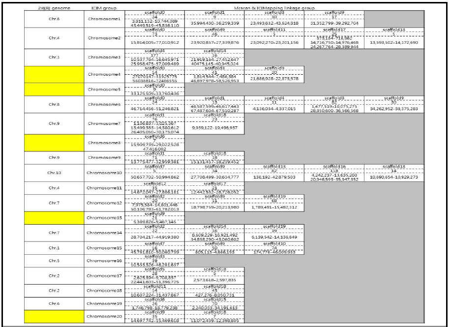 ICIMapping 의 연관군을 기준으로 2배체 야생종 들깨 염색체 구성 비교