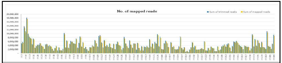 대실들깨x잎들깨1호 RIL 집단의 GBS trimmed reads 및 mapped read 개수