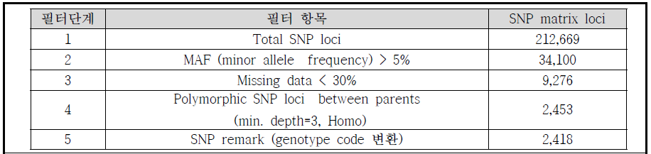 대실들깨x잎들깨1호 RIL 집단의 GBS를 이용한 유전지도 작성 마커 필터링 및 통계치