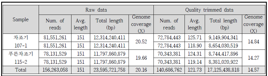 F2 교배집단의 모본인 푸른차조기115-2와 차조기 107-1의 NGS 생산 및 전처리 통계치