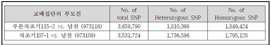 F2 교배집단의 부모친의 다형성 SNP 통계치