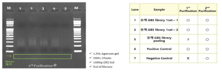 푸른차조기115-2 x 남천의 MspI&PstI 이용한 GBS library 구축