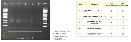 차조기107-1 x 남천의 MspI&PstI 이용한 GBS library 구축