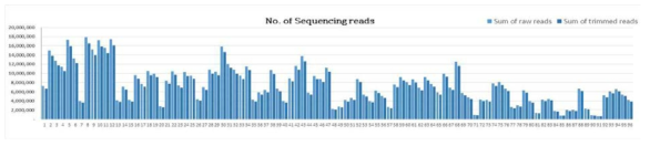 푸른차조기115-2 x 남천 F2 96개체의 raw reads 및 trimmed reads 개수