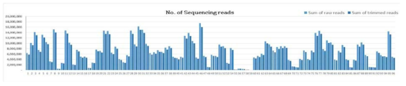 차조기107-1 x 남천 F2 96개체의 raw reads 및 trimmed reads 개수