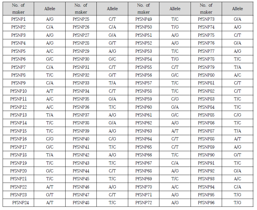 대용량 SNP 지노타입핑용 96개 마커의 allele 정보