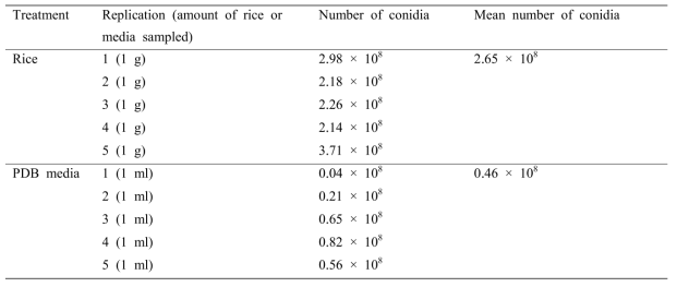 곤충병원성 곰팡이인 보베리아 바시아나 ARP14의 액체(PDB 배지)와 곡물(쌀) 배양 결과 비교