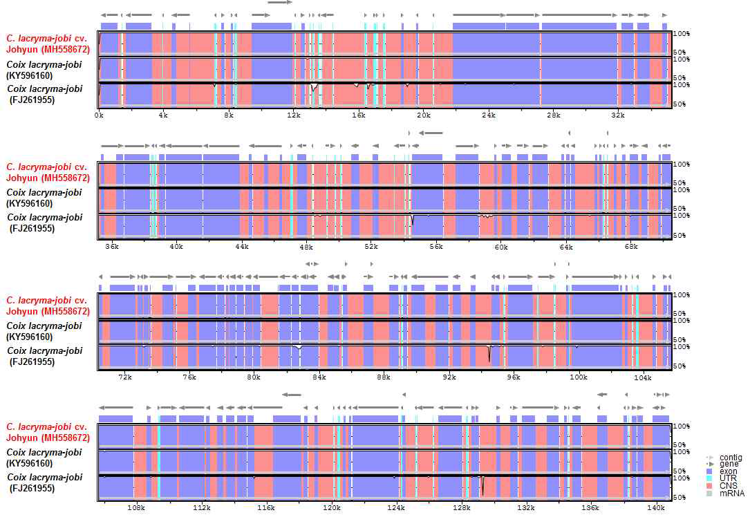 enome sequence of C. lacryma-jobi var. ma-yuen cv. Johyun generated in this study was compared with previously reported chloroplast genome sequences of C. lacryma-jobi (GenBank accession nos. KY596160 and FJ261955). Genic regions were identified using GeSeq program (https://chlorobox.mpimp-golm.mpg.de/geseq.html) and the comparative map was prepared using mVISTA (http://genome.lbl.gov/vista/mvista/submit.shtml). Blue block, conserved gene; Sky-blue block, tRNA and rRNA; Red block, intergenic region