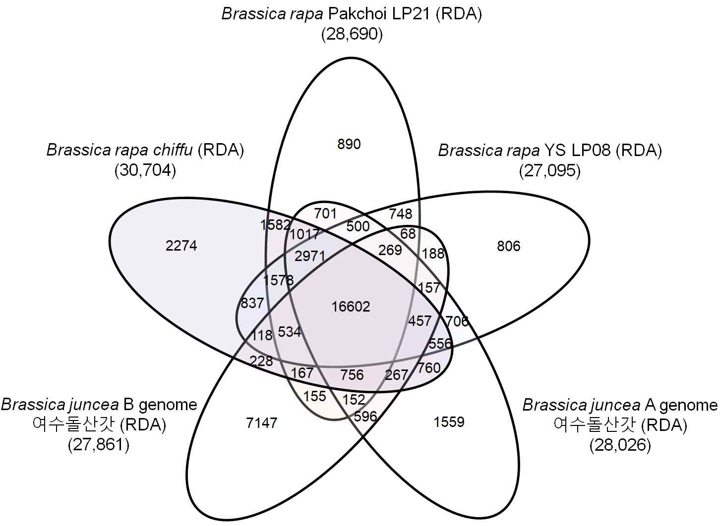 배추속 유전체 해독 작물간의 Orthologous gene cluster의 Venndiagram