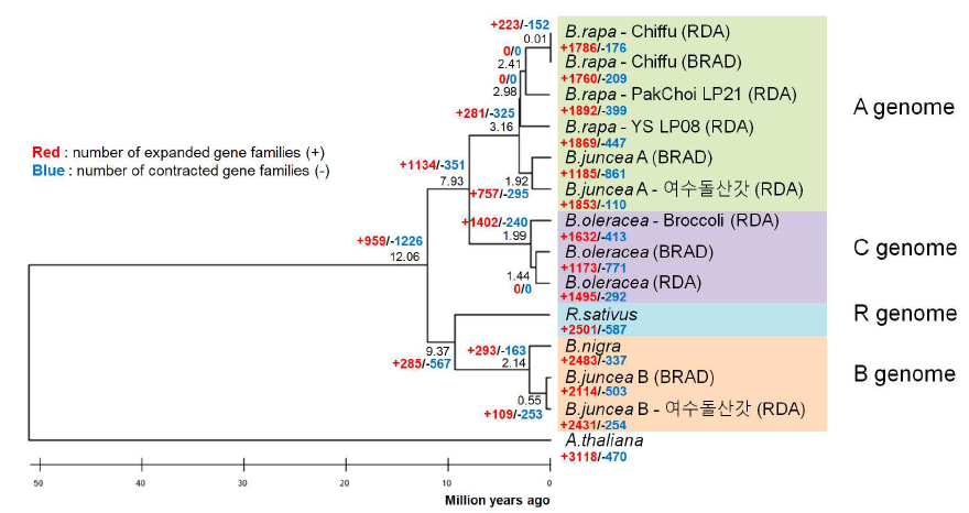유전체 및 계통별 Gene family 확장 축소 분석 결과