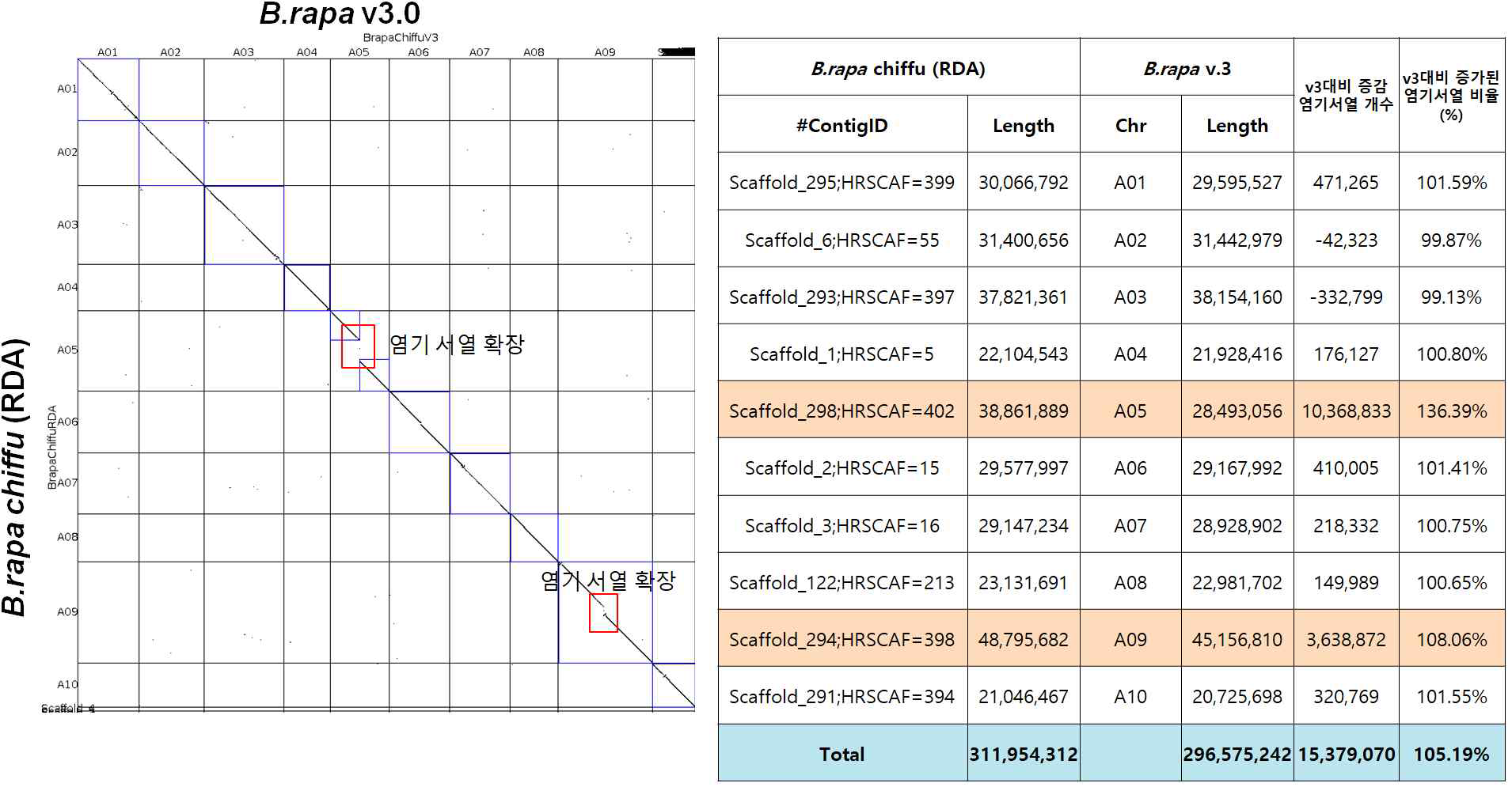 B. rapa Chiifu (RDA) vs B. rapa v3.0 유전체 구조 비교 분석