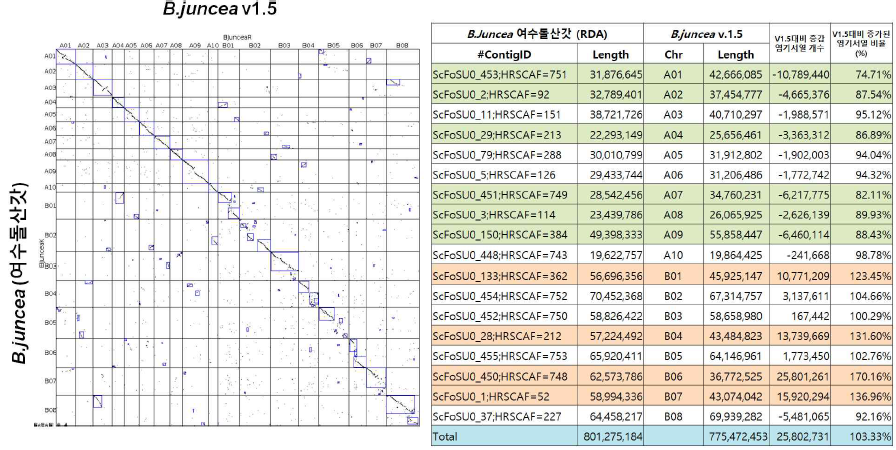B. juncea 여수돌산갓 (RDA) vs B. juncea v1.5 유전체 비교 분석