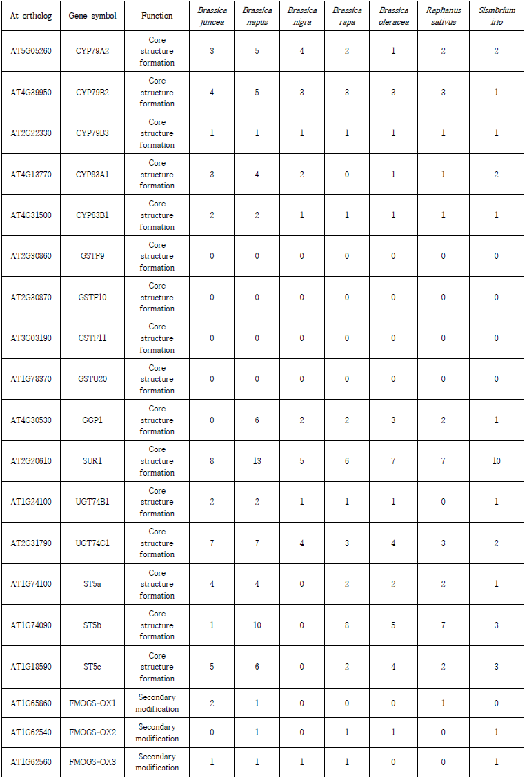 배추속 작물 7종 유전체에 대한 글루코시놀레이트 생합성 관련 유전자 수