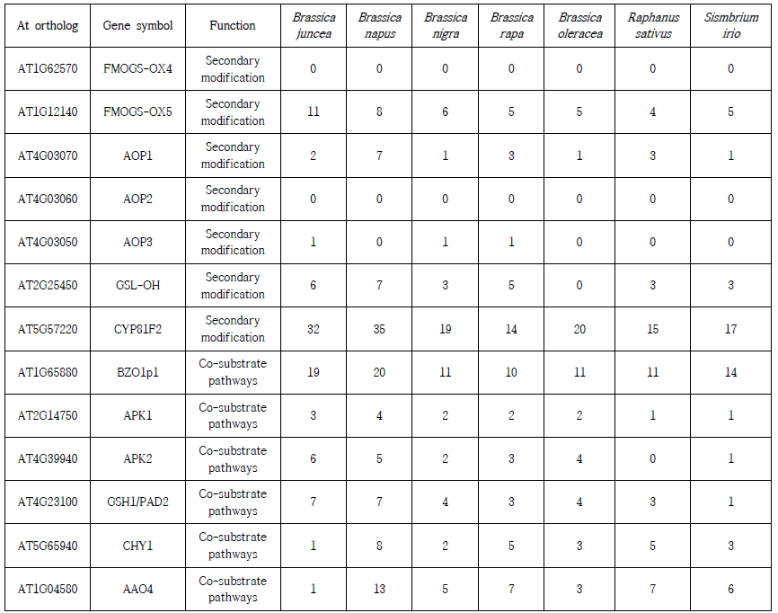배추속 작물 7종 유전체에 대한 글루코시놀레이트 생합성 관련 유전자 수