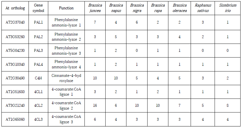 배추속 작물 7종 유전체에 대한 안토시아닌 생합성 관련 유전자 수