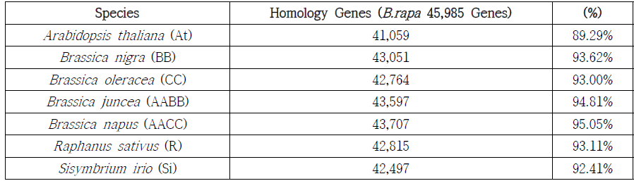 각 종별 Homology search에 대한 match된 유전자 개 수
