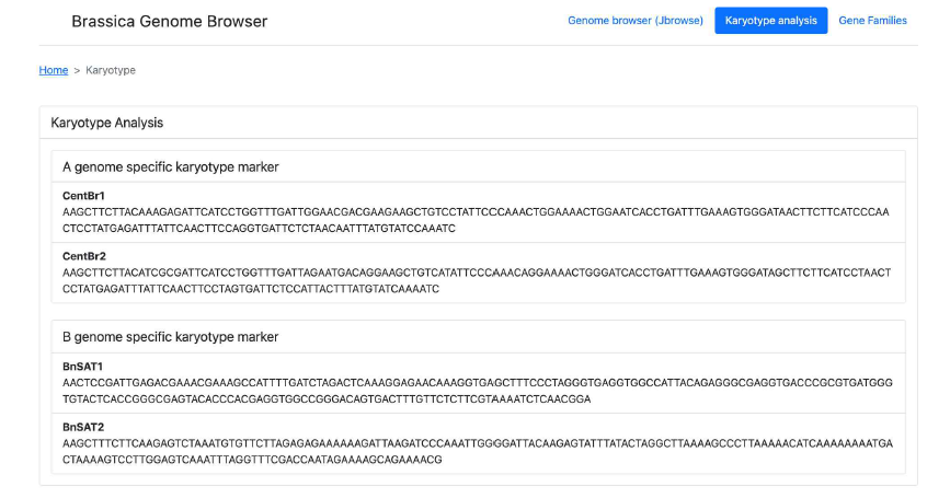 배추속 작물 유전체 통합 브라우저의 karyotype 마커 화면