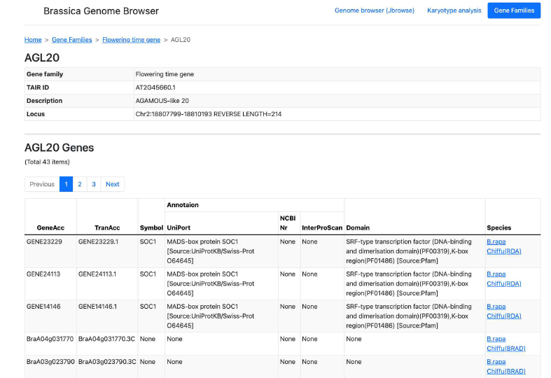 배추속 작물 유전체 통합 브라우저의 Gene family 내 유전자 상세 화면