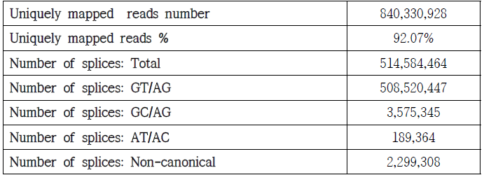 B. rapa (AA) RNA-seq alignment 결과