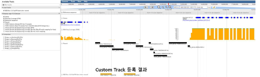 Brassica rapa (AA) 유전체 브라우저에서의 커스텀 트랙 등록 결과 일부