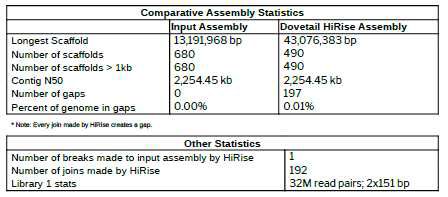 LP21, HiC HiRise 어셈블리 통계