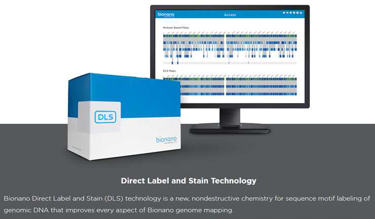 DLS_Direct label and stain technology 분석에 의한 제 2세대 IRYS 분석