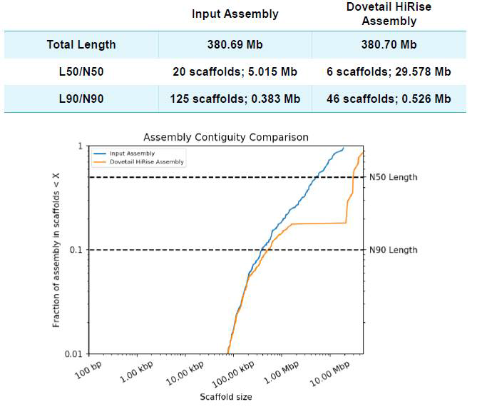 ‘지부’ v4.0, HiC HiRise 어셈블리