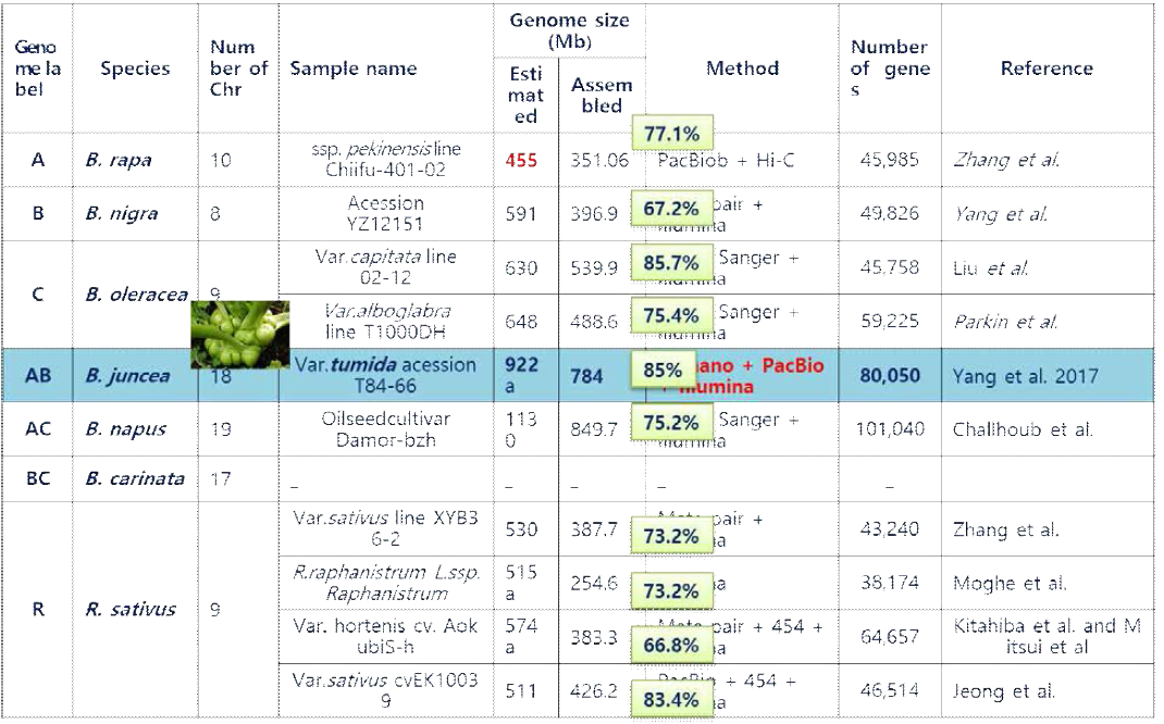 배추속 유전체 조립 보고 논문 결과